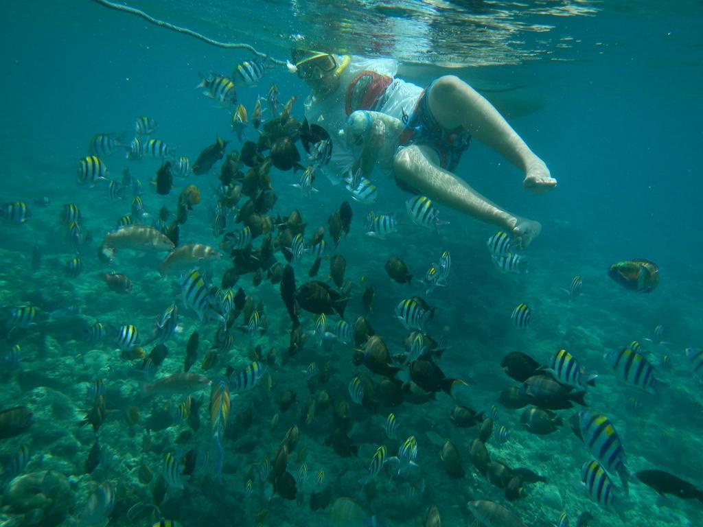 II Bungalow Gili Meno Dış mekan fotoğraf